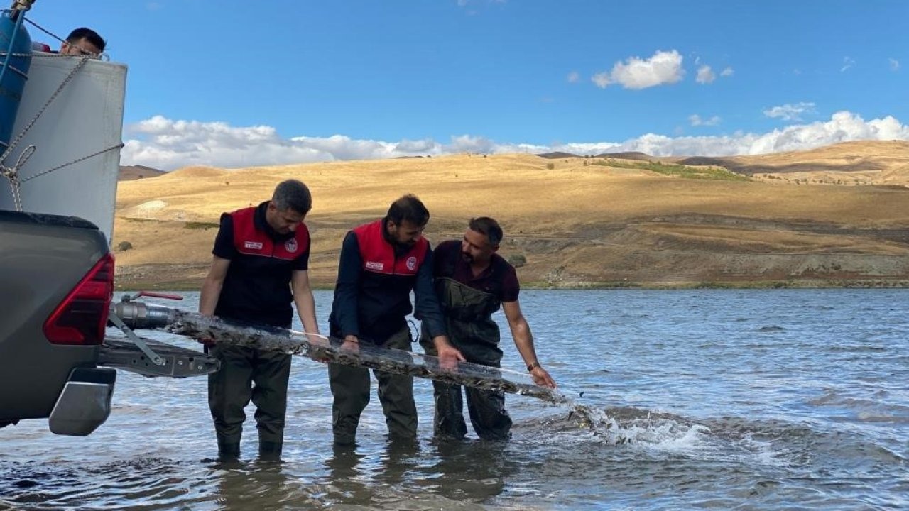 Su Kaynaklarına 83 Milyon Balık: İhracatta 2 Milyar Dolarlık Başarı