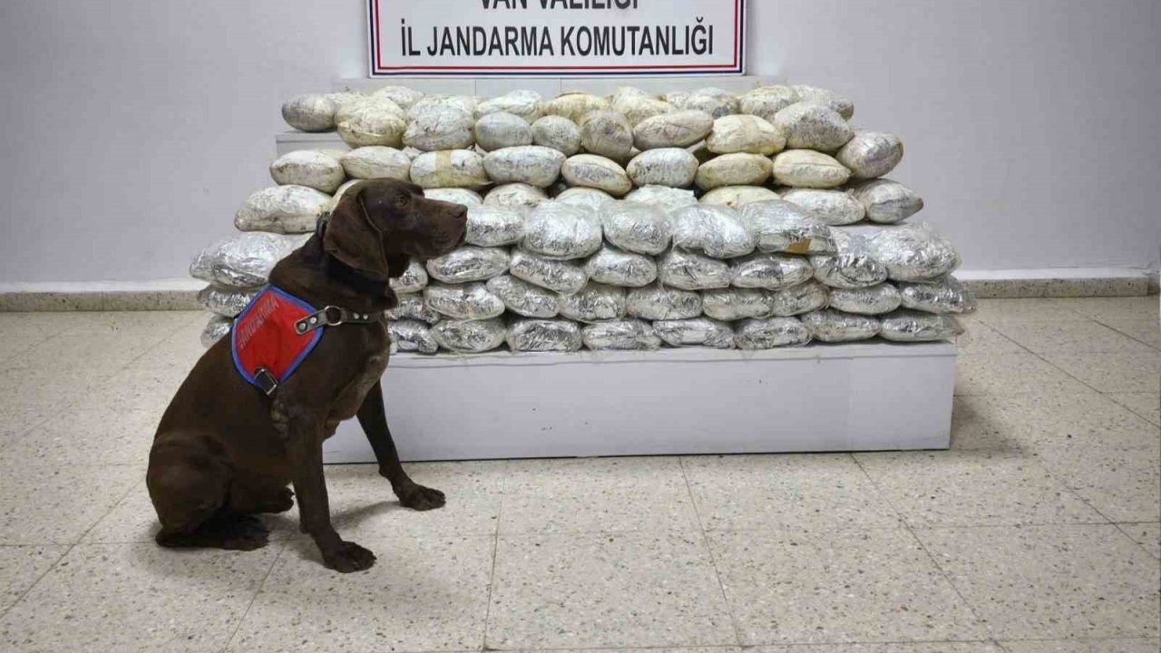 Van Başkale’de Jandarmadan Operasyon: 60 Kilogram Skunk Ele Geçirildi