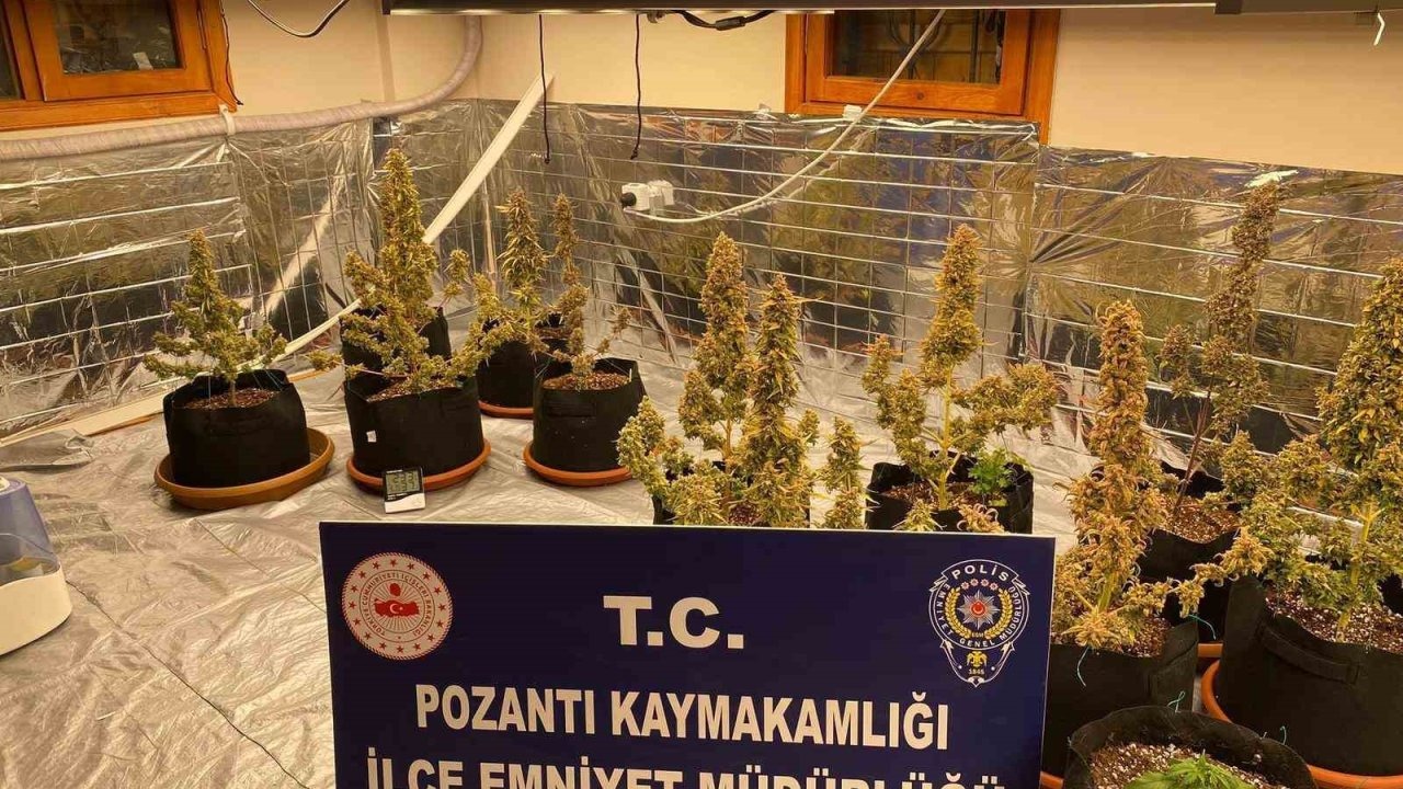 Villada uyuşturucu yetiştirmişler: Torbacı ’sevgililer’ yakalandı, 4 kilo uyuşturucu ele geçirildi