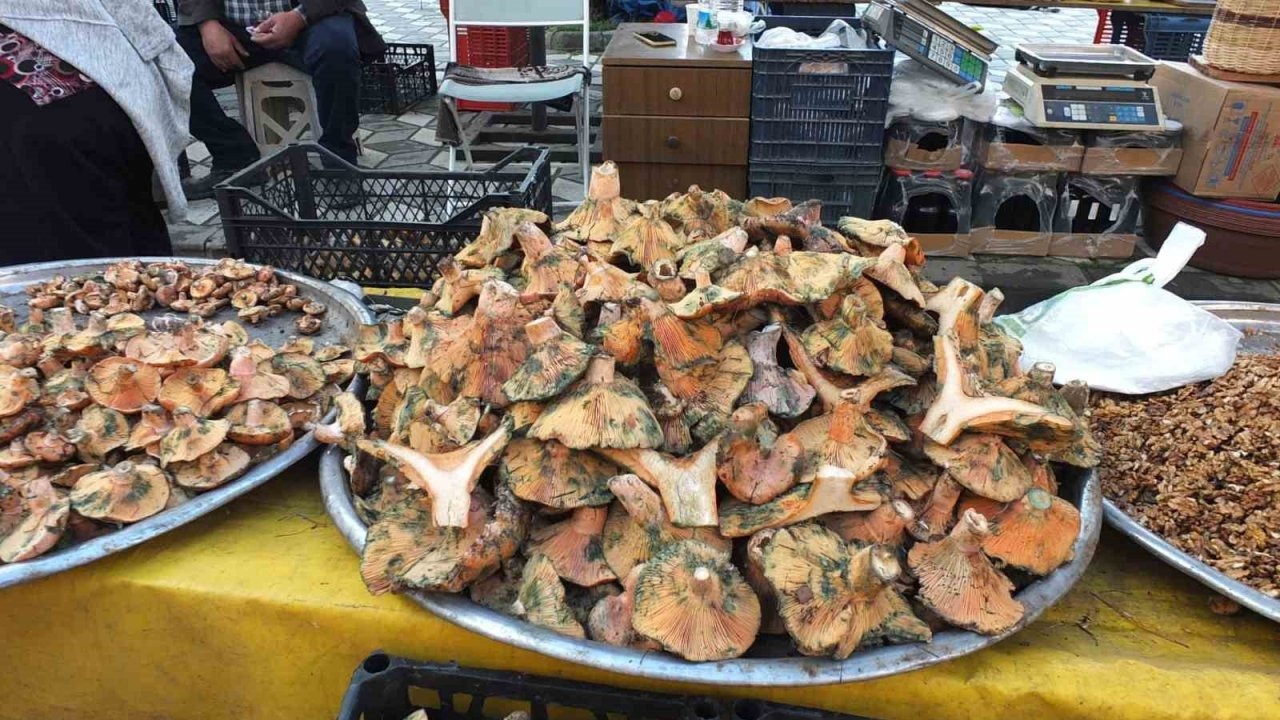 Yağışlar Melki Mantarını Coşturdu: Madra Dağı&#039;nda Geçim Kaynağı Oldu