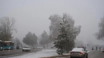 2025 Yılı Trafik Verileri Açıklandı: Erzurum 152 Bin Araçla 49. Sırada Yer Aldı