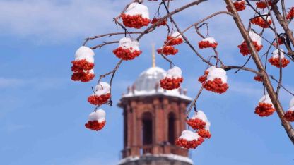 Erzurum ve çevresinde dondurucu alarm: Buzlanma, don ve çığ riski bir arada