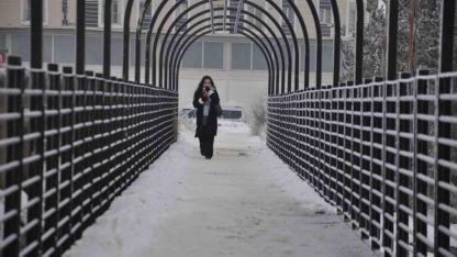 Kars buz kesti: Ağaçlar kristal heykele dönüştü