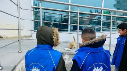 Diyadinli Gençlerden Sokak Hayvanlarına Şefkat Eli