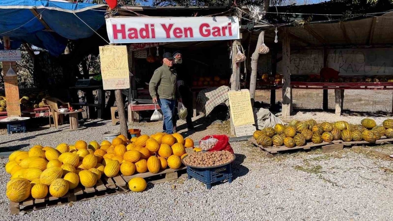 "Araştırmacı kavuncu dede" ata tohumlarını geleceğe taşıyor