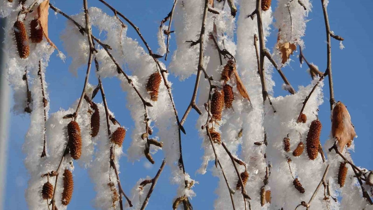 Ardahan'da Sibirya Soğukları: Göle Eksi 27 Dereceyi Gördü