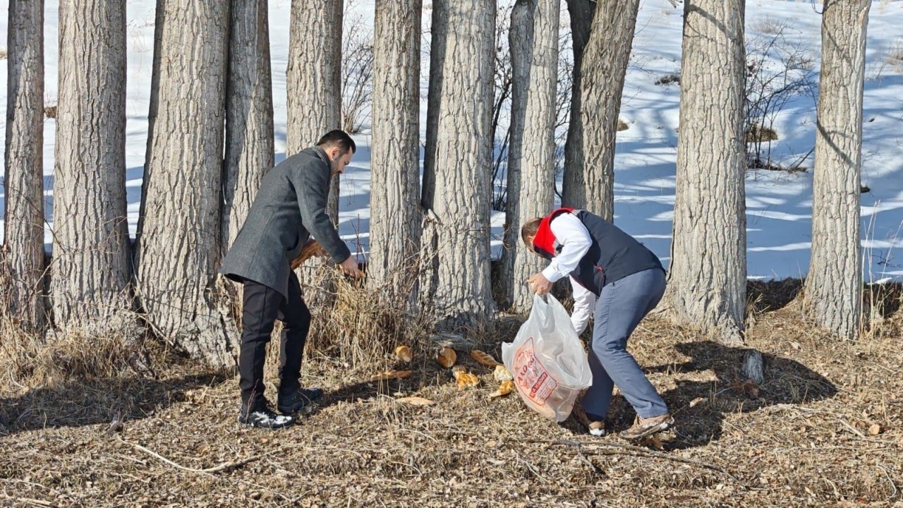 Aşkale'de Yaban Hayatı Unutulmadı: Kar Altındaki Canlara Anlamlı Destek