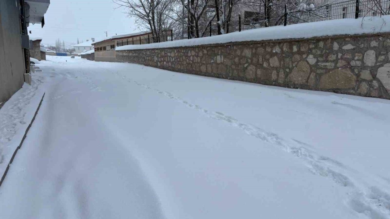 Diyadin’de Kar Esareti: Esnaf ve Sürücüler Zor Durumda