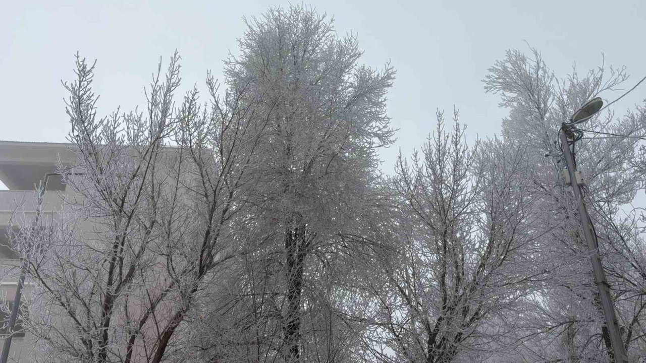 Diyadin’de Sis Göz Gözü Görmedi: Görüş Mesafesi 20 Metreye Düştü