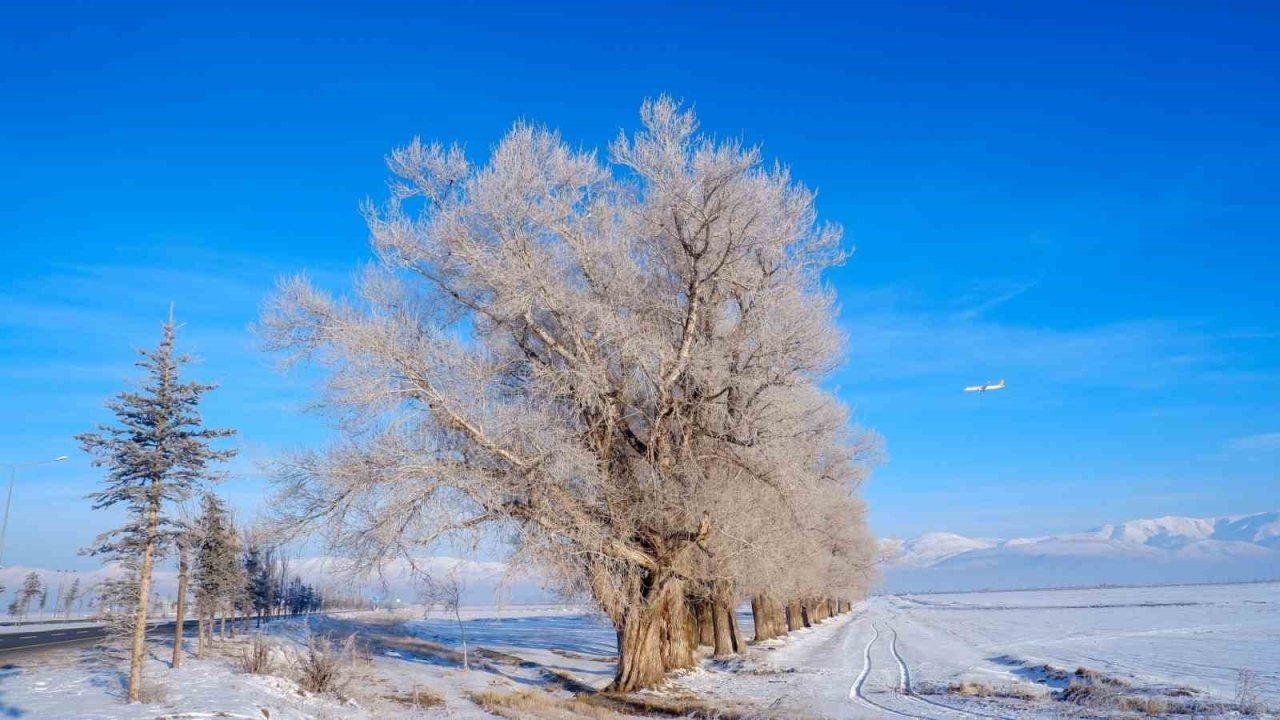 Doğu Anadolu’da Dondurucu Kış: Göle -27,5 Dereceyi Gördü