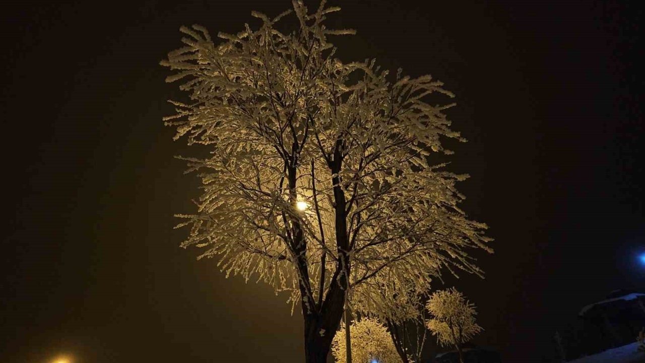 Elazığ’da ağaçlar kırağı tuttu