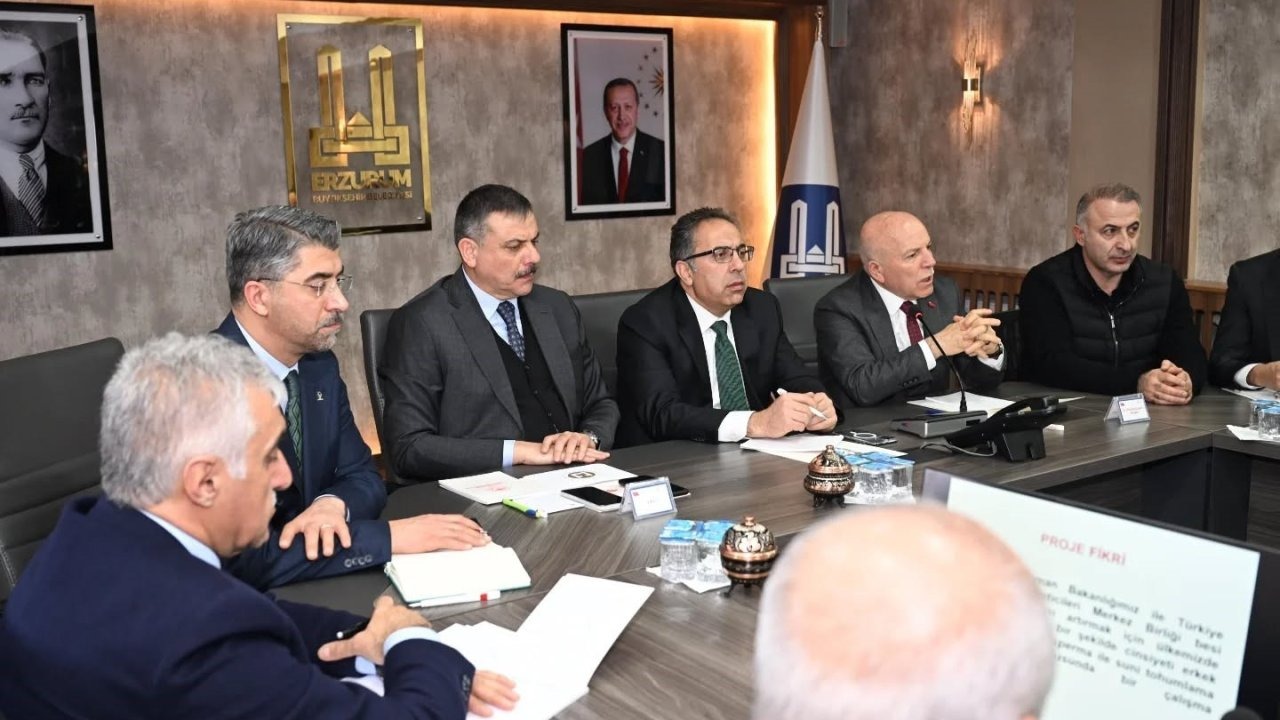 Erzurum Kırmızı Et Üretiminde Pilot Şehir Oldu: Etçi Irk Hamlesi Başlıyor