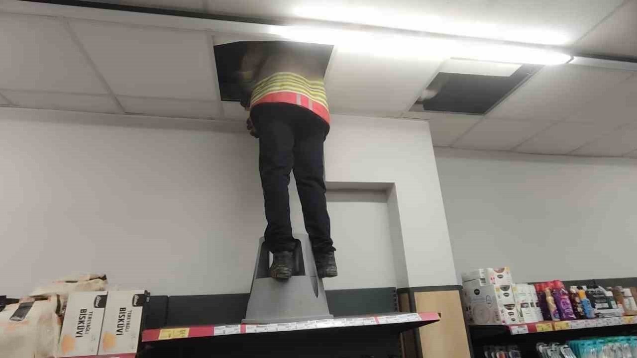 Havalandırma boşluğunda mahsur kalan kediyi itfaiye kurtardı