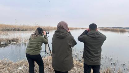 Iğdır'ın Sulak Alanlarında Kuş Sayımı Yapıldı! 24 Türden 1617 Birey Tespit Edildi