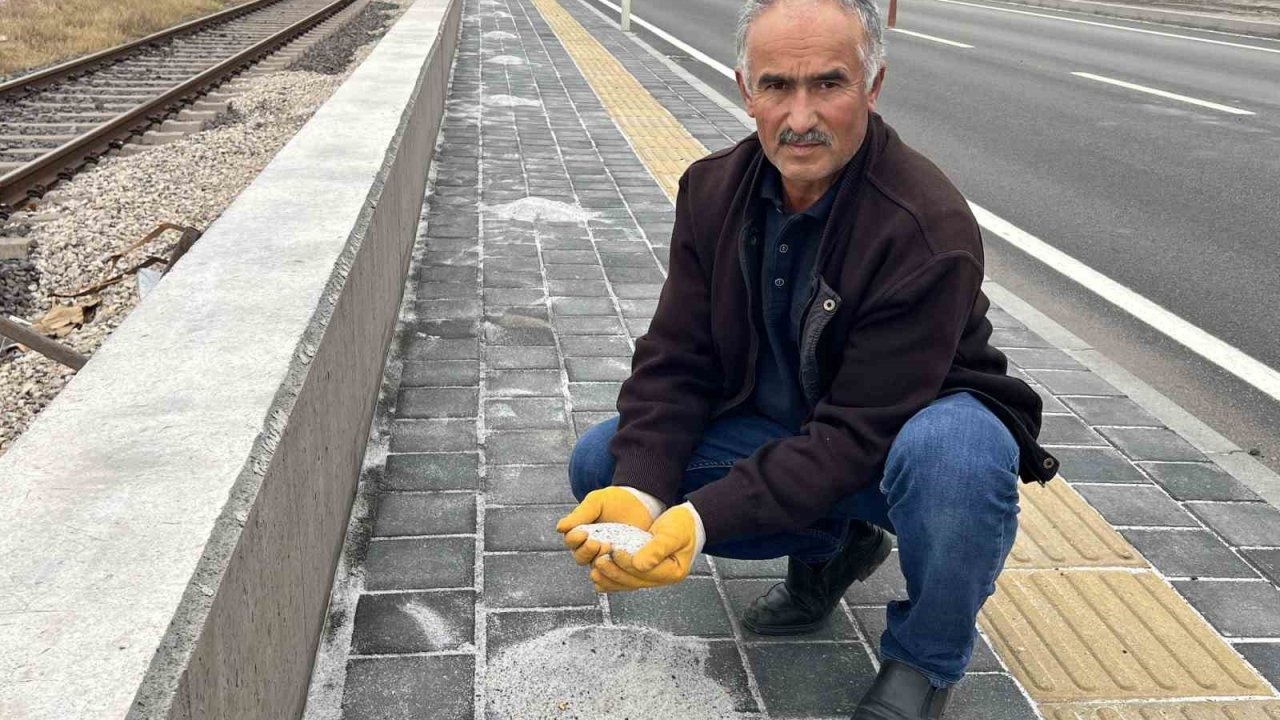 Karayolunun kenarında beyaz örtü oluşturan tırlardan dökülen gübreler, fırçalarla toplanarak bahçelerde değerlendiriliyor