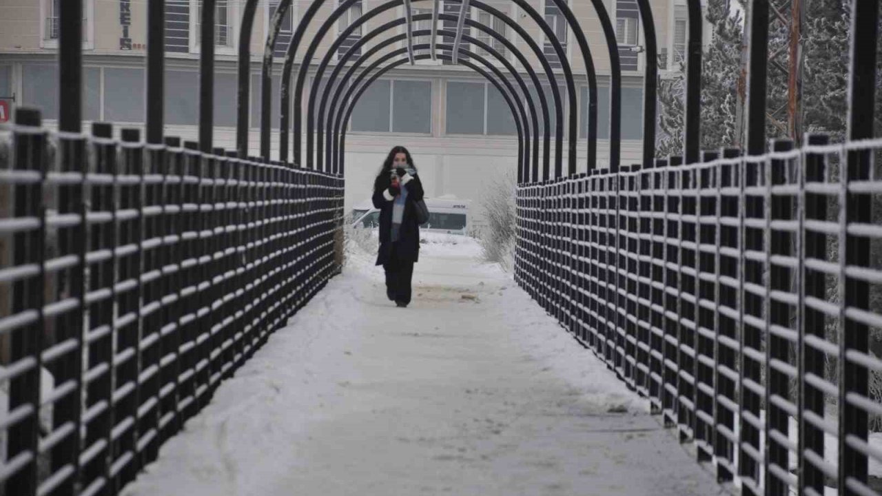 Kars buz kesti: Ağaçlar kristal heykele dönüştü