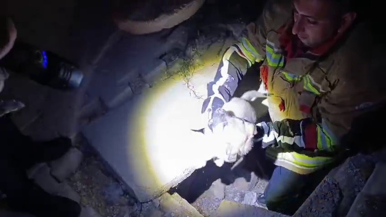 Kuyuda Mahsur Kalan Yavru Köpeğe İtfaiye Eli