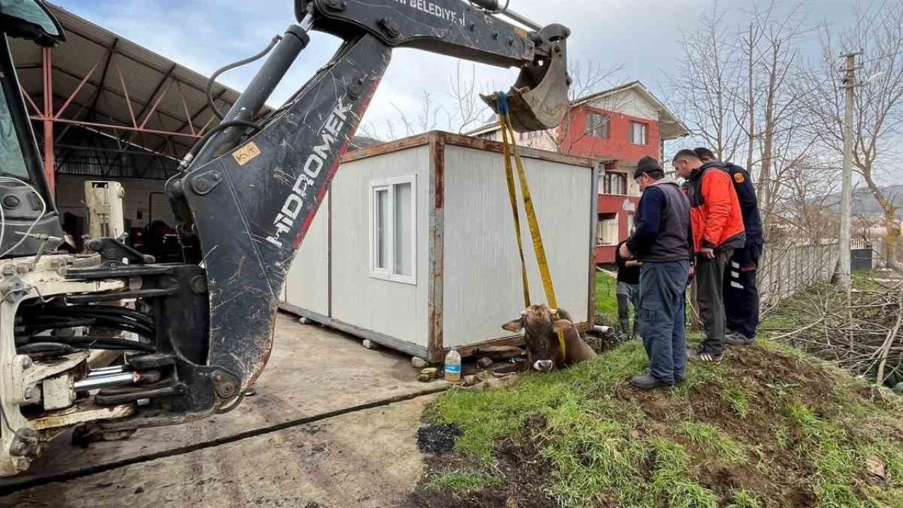 Kuyuya düşen ineği itfaiye kurtardı