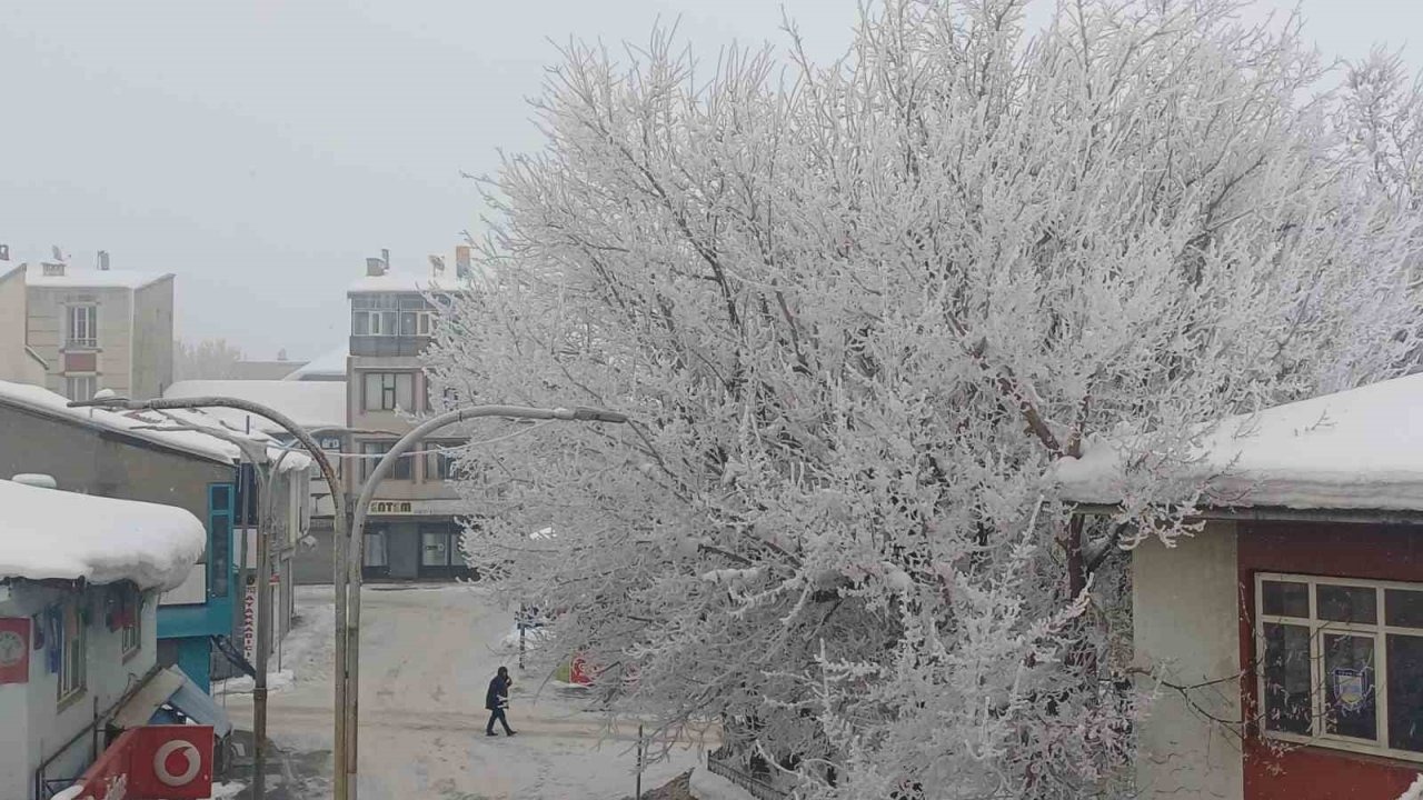 Malazgirt’te Görsel Şölen: Dondurucu Soğuklar İlçeyi Beyaza Boyadı