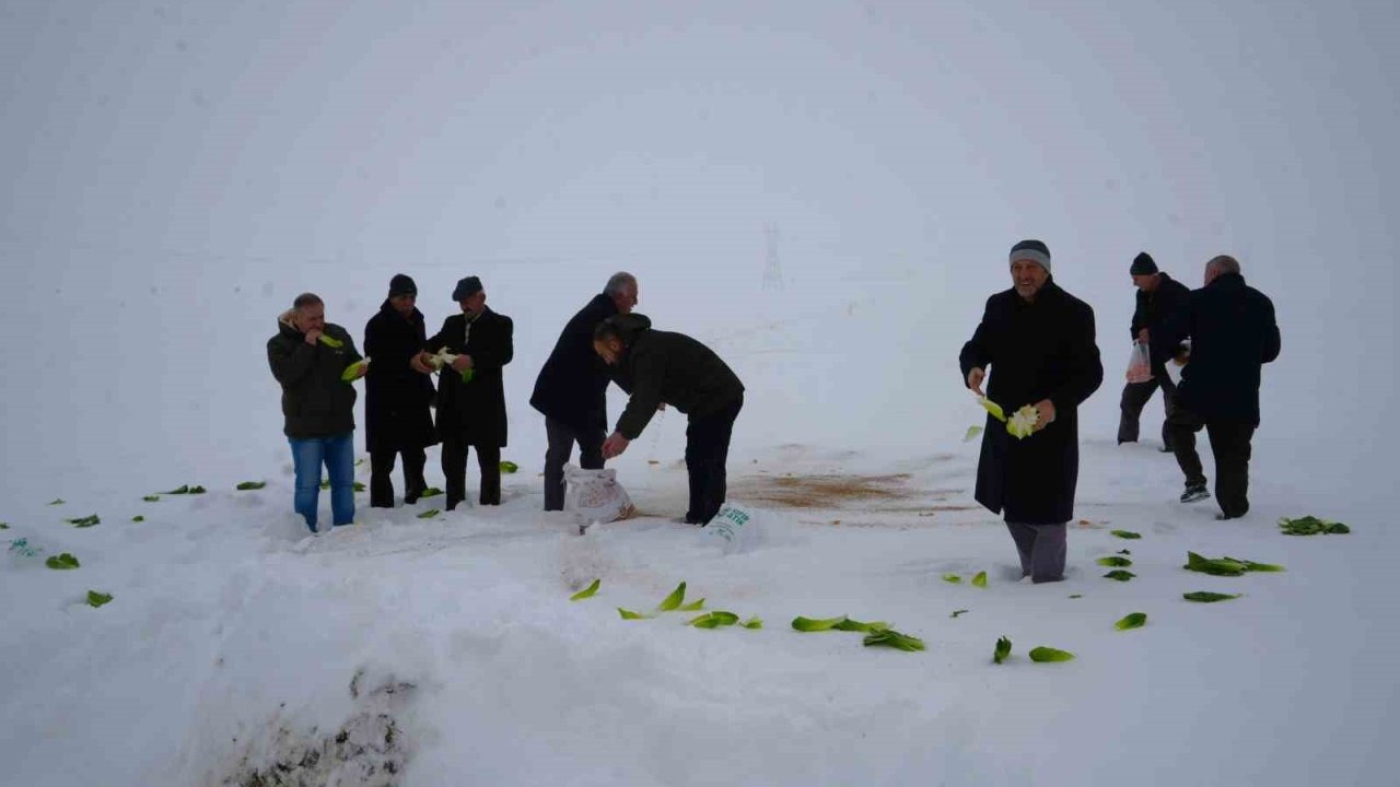 Muş Kırköy'de Yaban Hayvanlarına Anlamlı Destek