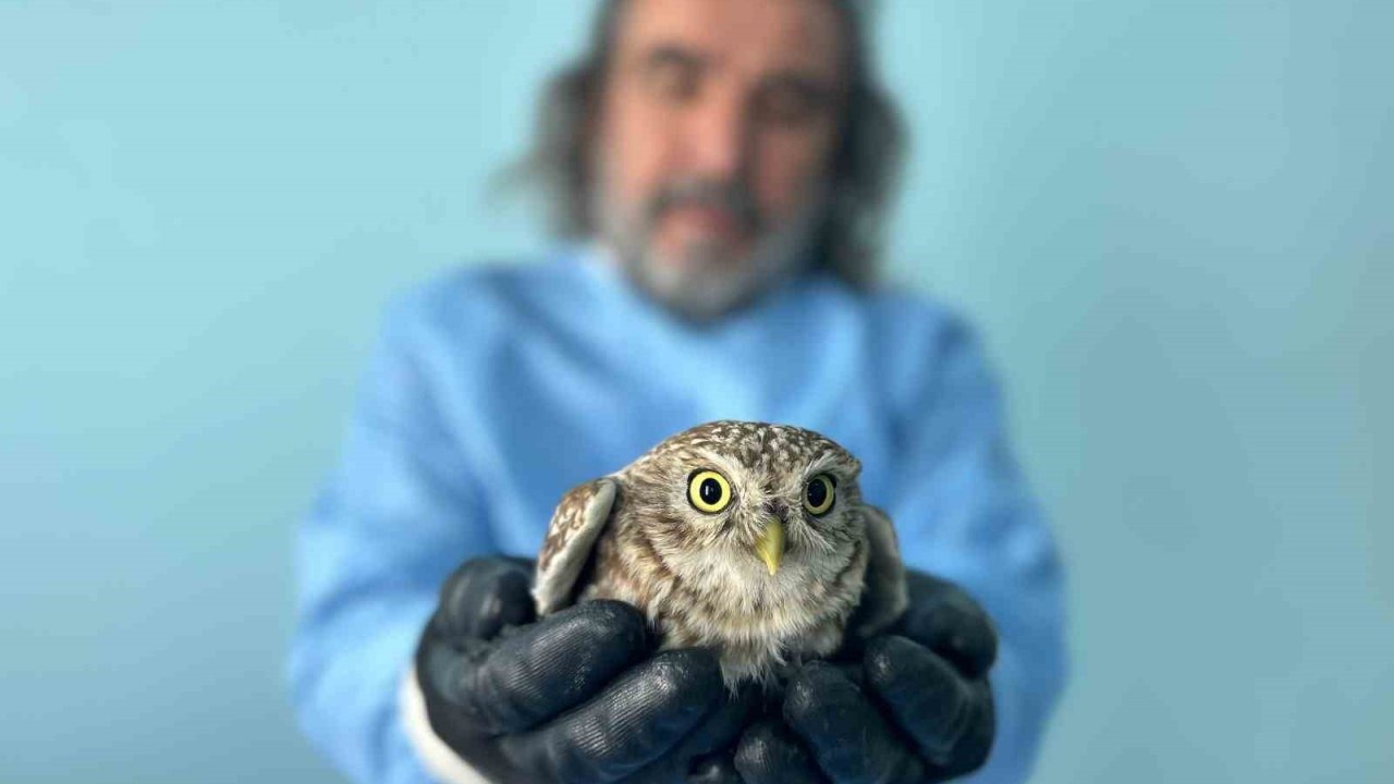 Prof. Dr. Lokman Aslan: Yaban Hayvanları Kendi Meteoroloji Uzmanıdır