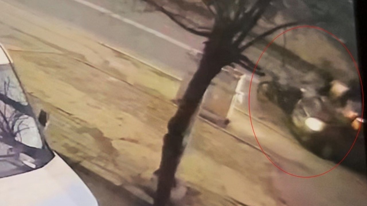 Tekirdağ’da 2 kişinin yaralandığı feci kaza kamerada