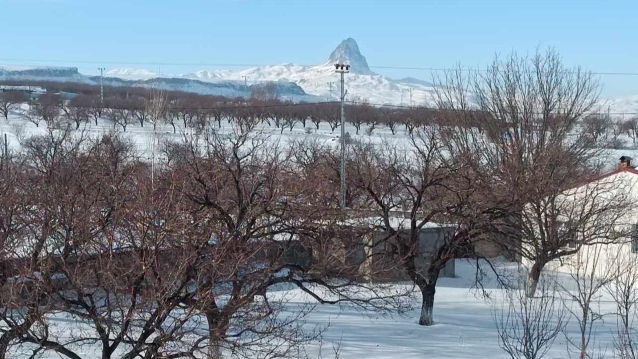 Tuzluca'nın İncisi Kamışlı'da Kış Büyüsü: Bir Yanı Tekelti, Bir Yanı Ağrı Dağı!