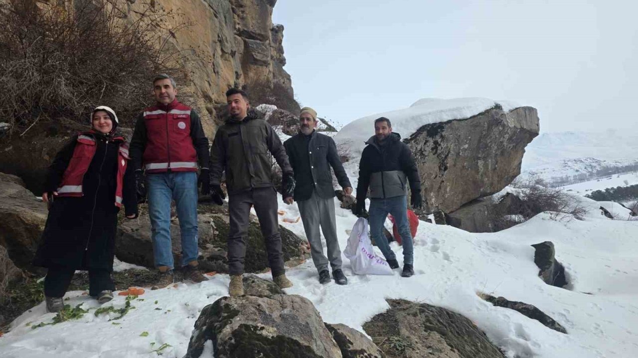 Van Muradiye’de Yaban Hayvanları İçin Doğaya Yem Bırakıldı