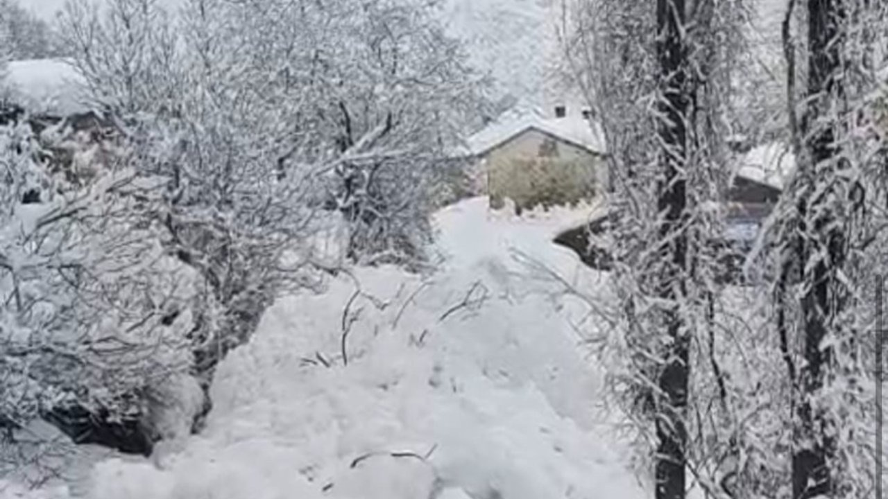 Yüksekova’da çığ yerleşim yerine indi: Facianın eşiğinden dönüldü