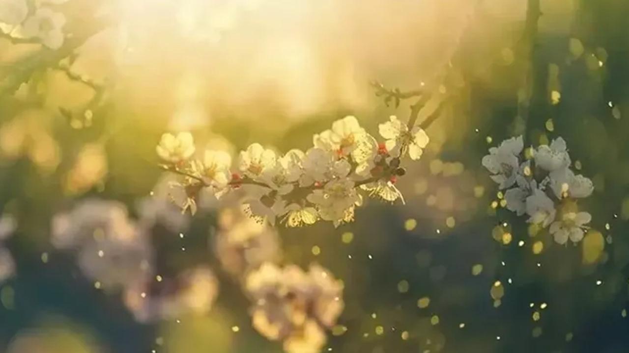 2026 Cemre Düşme Tarihleri: İlk Cemre Havaya Ne Zaman Düşecek?