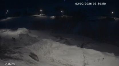 Kars’ta Aç Kalan Kurtlar Köy Merkezine İndi: O Anlar Güvenlik Kamerasında