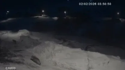 Kars’ta Aç Kalan Kurtlar Köy Merkezine İndi: O Anlar Güvenlik Kamerasında