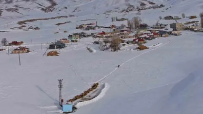 Coğrafya Kader, Emek Alın Teri! Vanlı Besicilerin Kar Üzerinde 24 Saatlik Mücadelesi