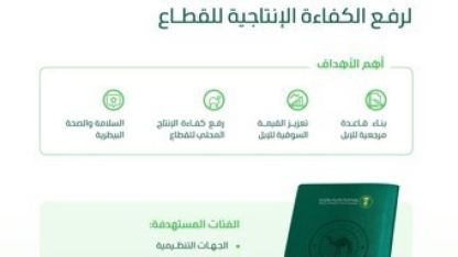 Çölün Sahiplerine Resmi Kimlik: Suudi Arabistan’da Deve Pasaportu Dönemi