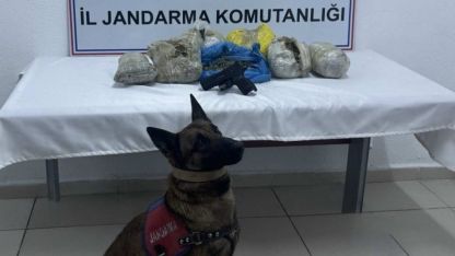 Doğubayazıt'ta Uyuşturucu Operasyonu: 4 Kilogram Esrar Ele Geçirildi