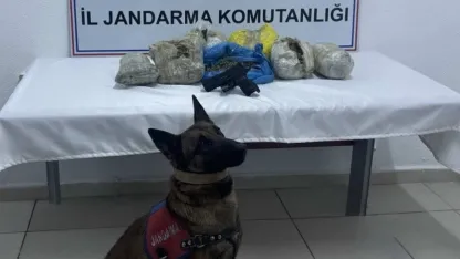 Doğubayazıt'ta Uyuşturucu Operasyonu: 4 Kilogram Esrar Ele Geçirildi