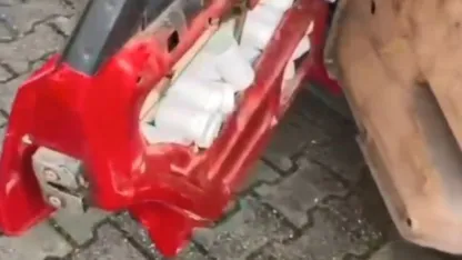 Artvin'de Uyuşturucu Operasyonu: Dedektör Köpeği 'Pars' Geçit Vermedi