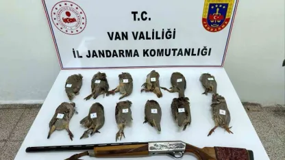 Erciş’te Kaçak Avcıya Rekor Ceza: 12 Keklik Ele Geçirildi