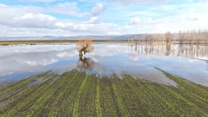 Muş Ovası Su Altında: Erimen Kar ve Şiddetli Sağanak Tarım Arazilerini Göle Çevirdi