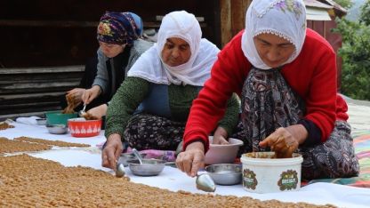 Olur’un Asırlık Kış Lezzeti: Organik Keş Sofralardaki Yerini Aldı