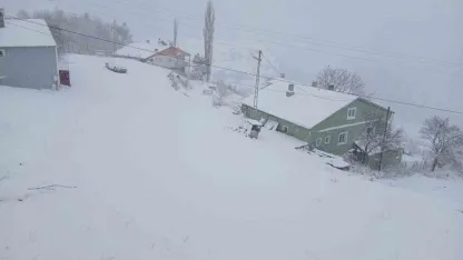 Posof'ta yoğun kar yağışı eğitime ara verdirdi