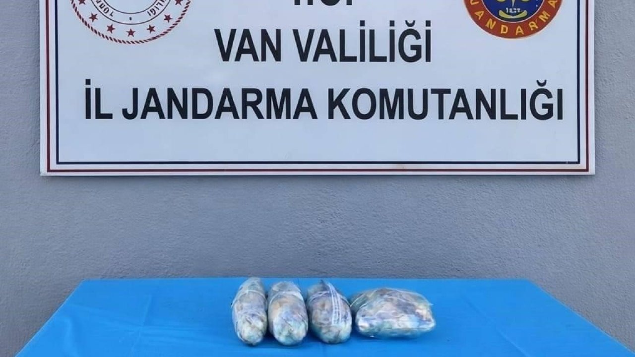 Çaldıran'da Uyuşturucu Operasyonu: 1 Kişi Gözaltında