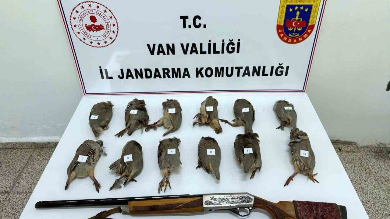 Erciş’te Kaçak Avcıya Rekor Ceza: 12 Keklik Ele Geçirildi