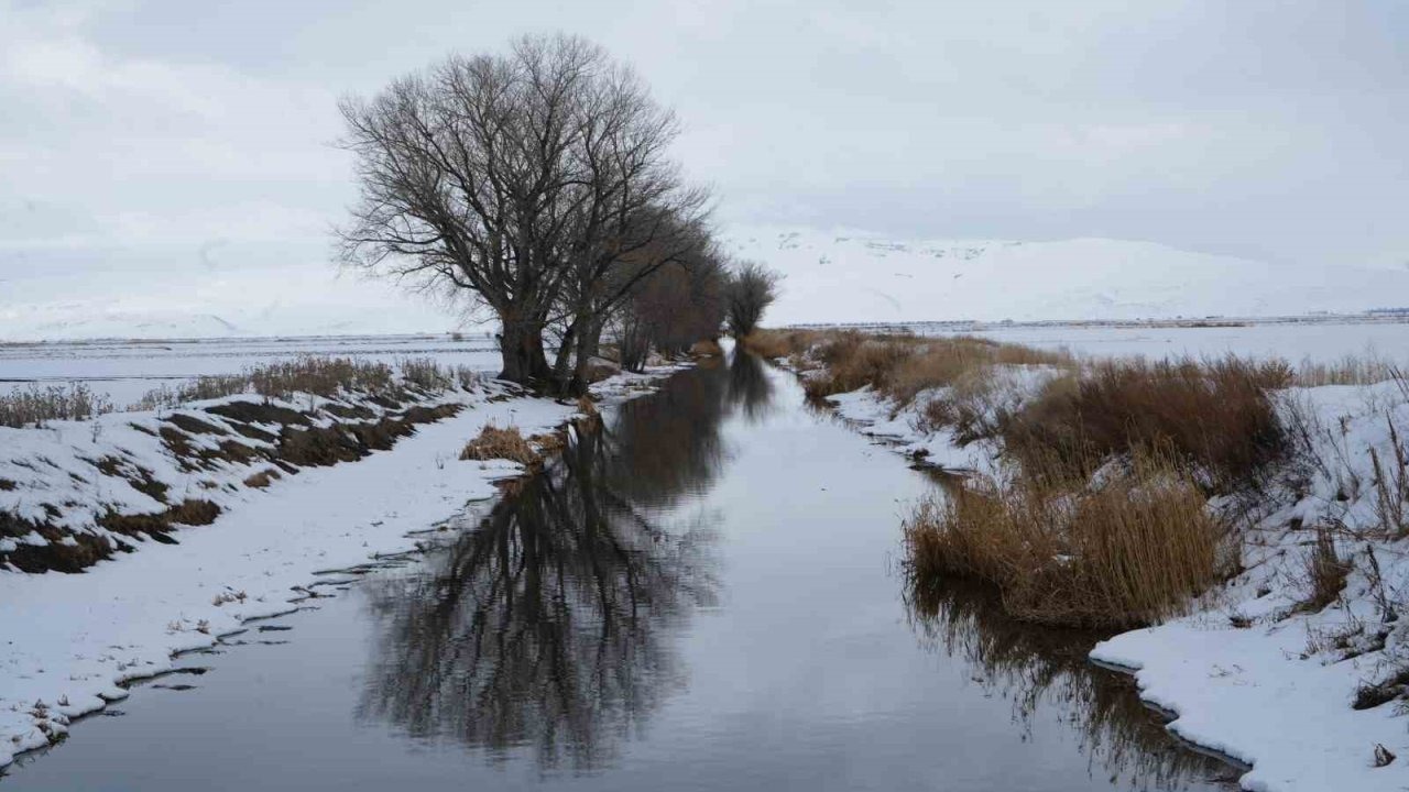 Erzurum Hava Durumu Özeti