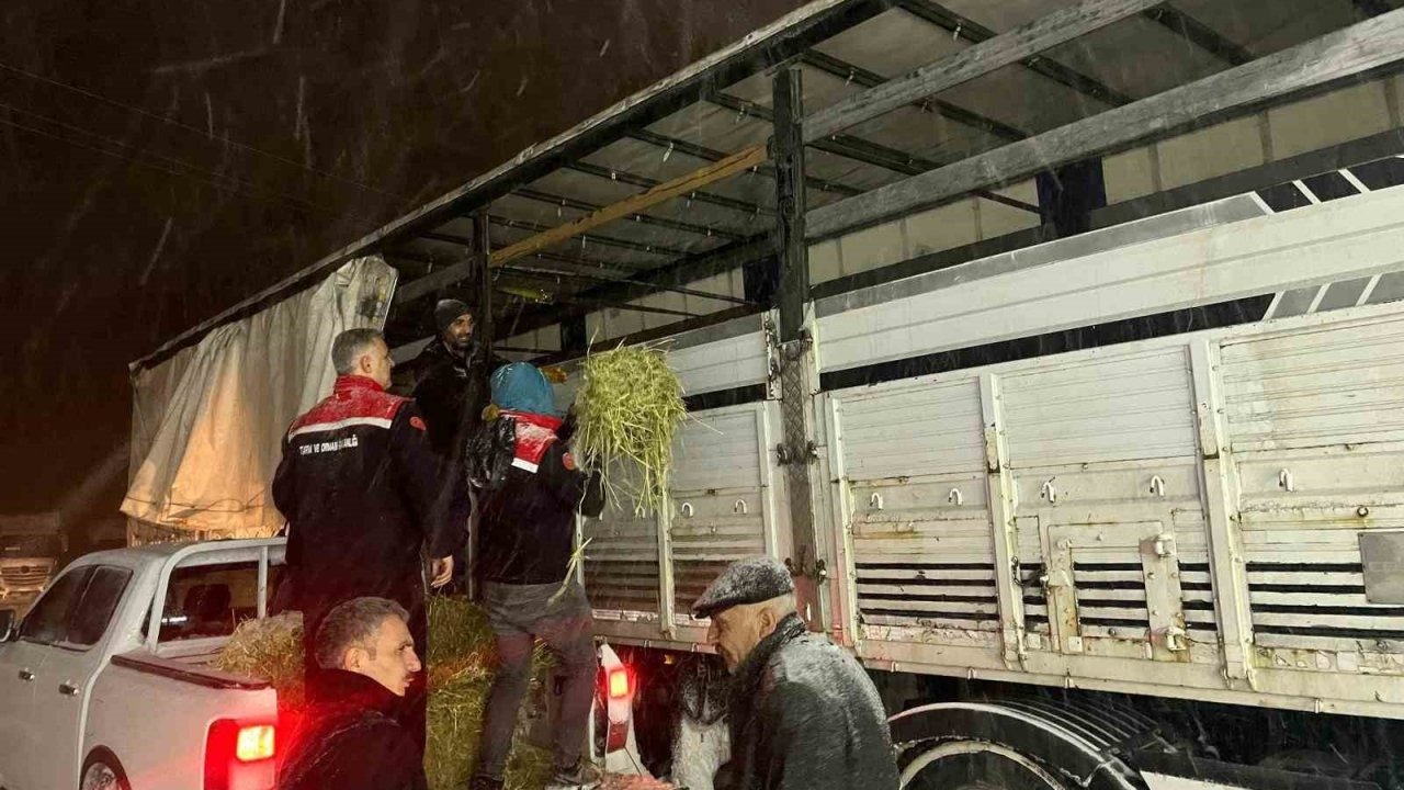 Erzurum’da Kar Altındaki Üreticilere Tarım Müdürlüğünden Yem Desteği