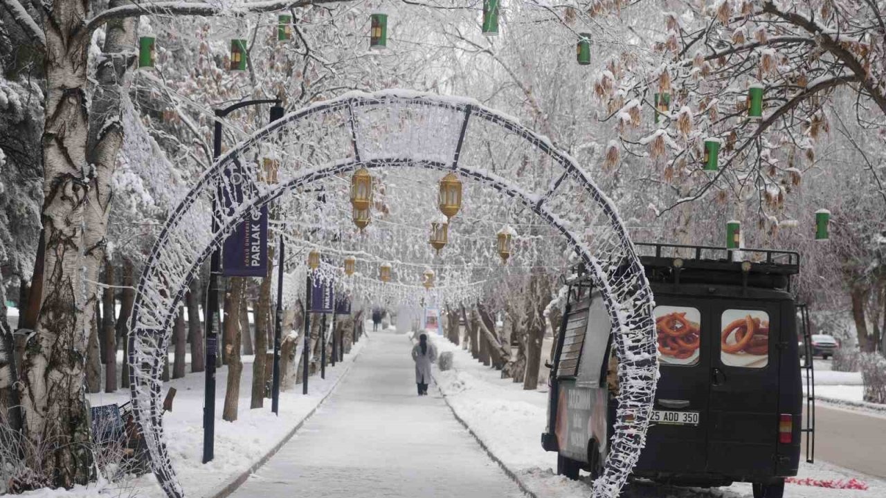 Erzurum’da "Kırağı" Güzelliği: Beyaza Bürünen Ağaçlar Görsel Şölen Sundu