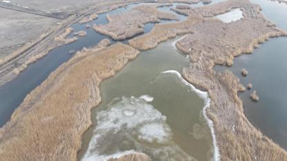 Iğdır’da Donan Karasu Sazlığı’nda Buzlar Eriyor: Yaban Hayatı Canlandı