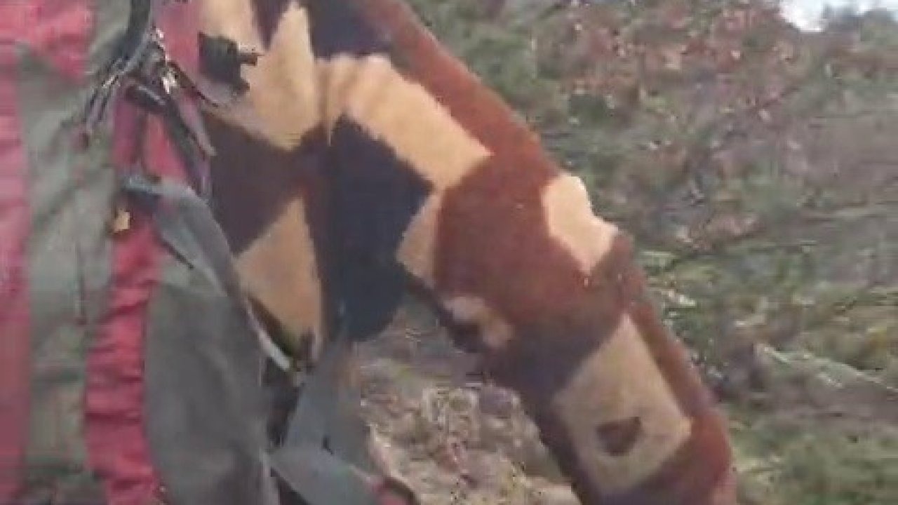 İspir’de Dağcı ile Boz Ayı Karşı Karşıya Geldi