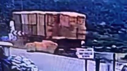 Kiraz’da Feci Olay: Tırdan Düşen Saman Balyaları 53 Yaşındaki Adamı Öldürdü