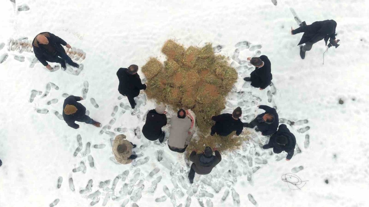 Korkut’ta Doğaya Merhamet Eli: Yaban Hayvanları İçin Seferberlik